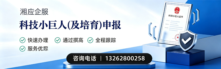 马鞍山科技小巨人及培育企业申报服务
