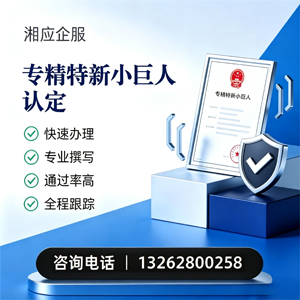 马鞍山专精特新小巨人申报服务