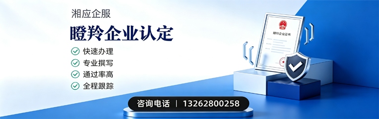 马鞍山瞪羚企业认定申报服务