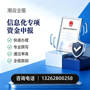 马鞍山信息化专项资金申报服务