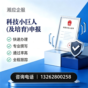 马鞍山科技小巨人及培育企业申报服务