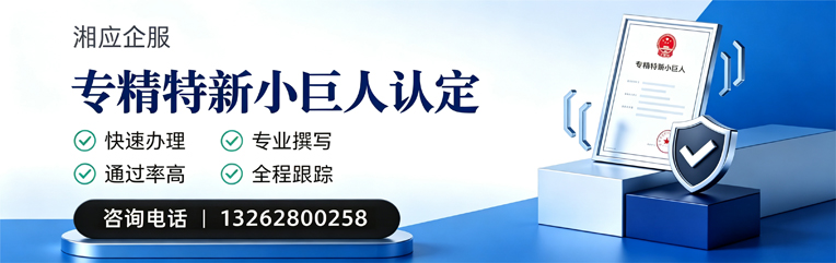 马鞍山专精特新小巨人申报服务